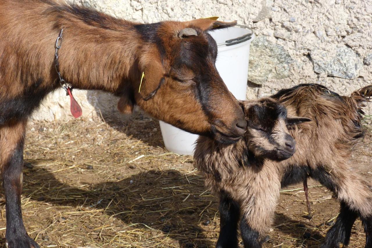Agriturismo La Meta Pieve di Bono Kültér fotó